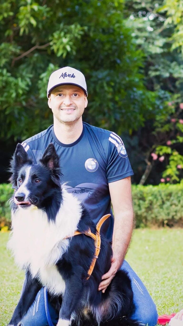 Border Collie do canil Jackmel