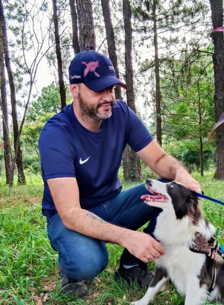 Border Collie do canil Jackmel